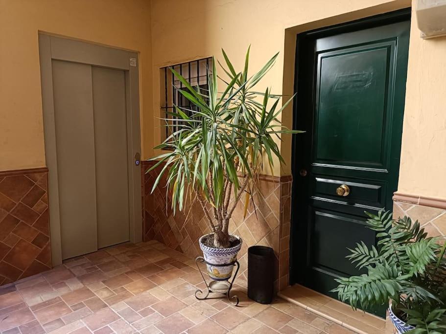 Triana Stay Séville Extérieur photo